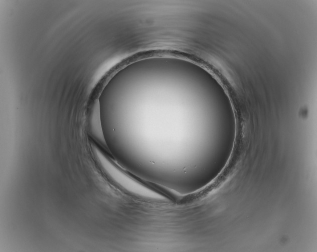 X0000090991069200708161912