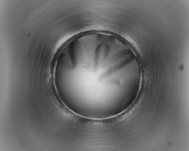X0000090991070200708161912