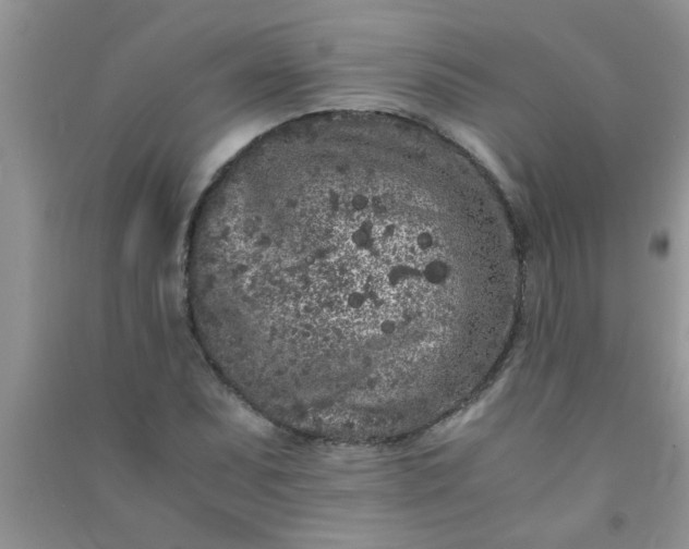 X0000090991071200708161912