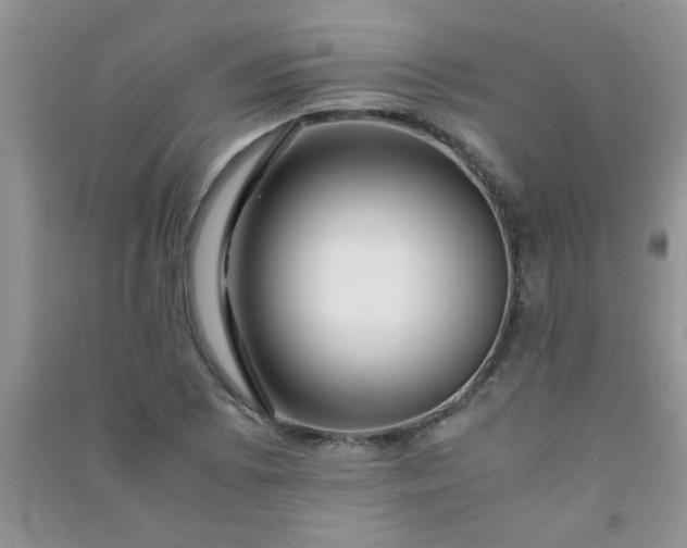 X0000090991073200708161912