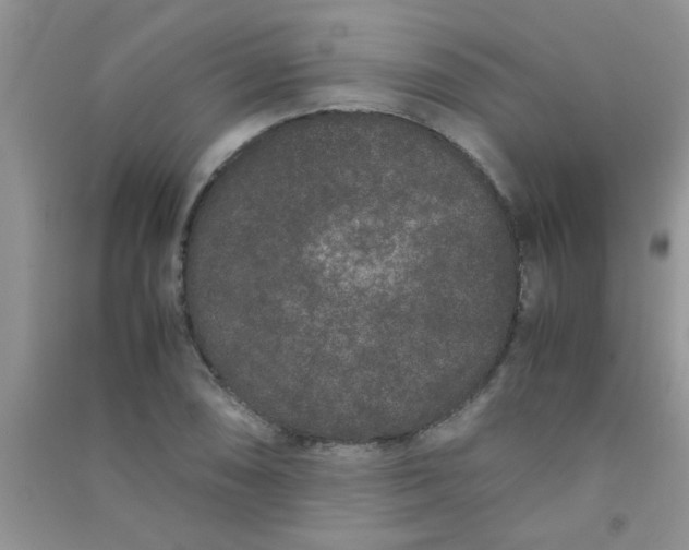 X0000090991074200708161912