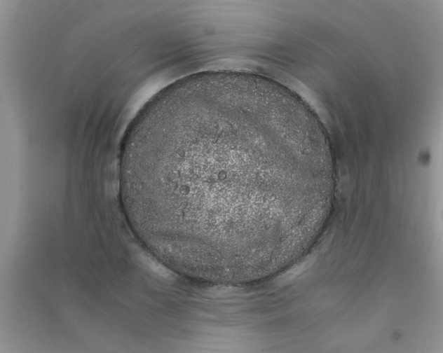 X0000090991075200708161912