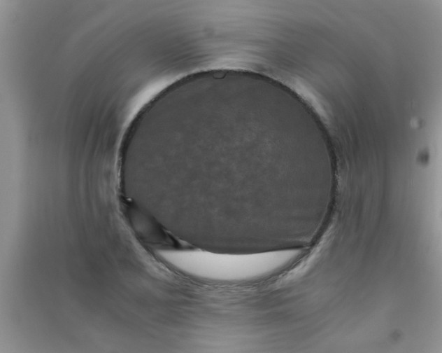 X0000090991077200708161912