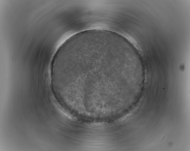 X0000090991078200708161912
