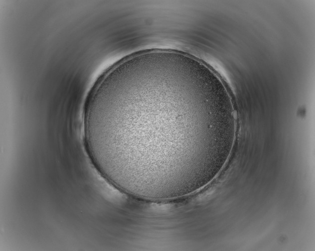 X0000090991080200708161912
