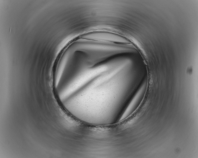 X0000090991082200708161912