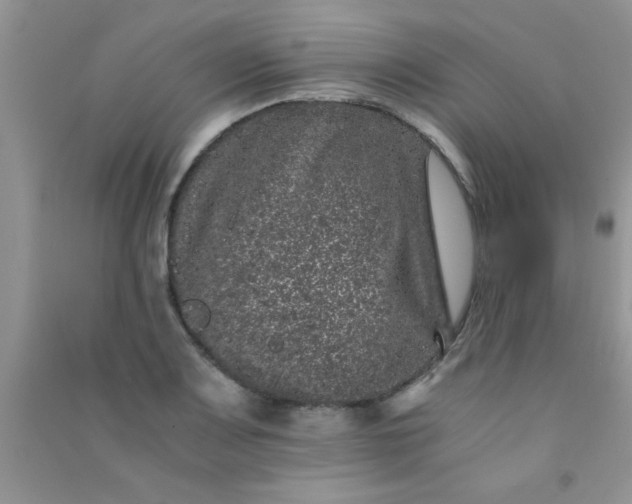 X0000090991083200708161912