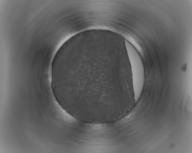 X0000090991084200708161912