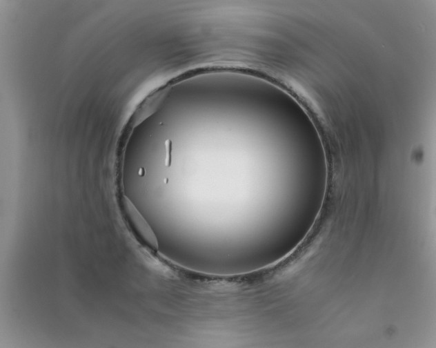 X0000090991085200708161912