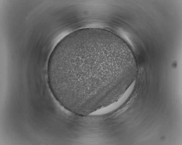 X0000090991087200708161912