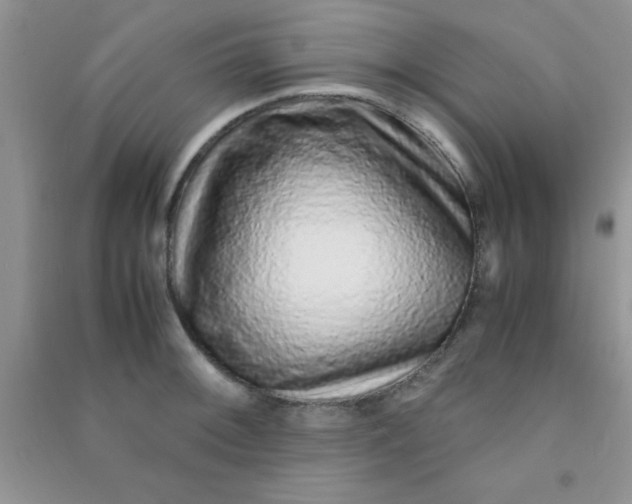 X0000090991092200708161912