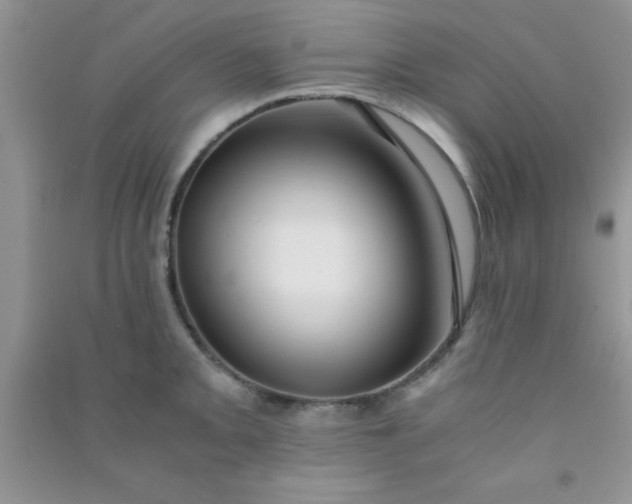 X0000090991093200708161912