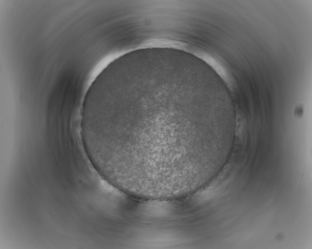 X0000090991094200708161912