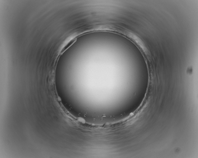 X0000090991097200708161912