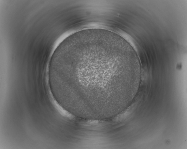 X0000090991098200708161912