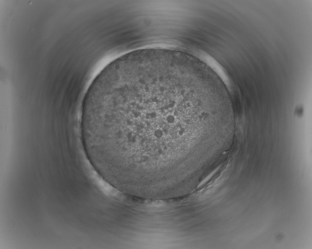 X0000090991099200708161911