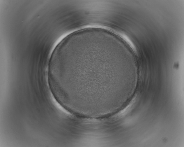 X0000090991100200708161911