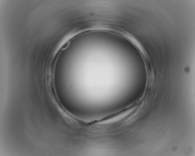 X0000090991101200708161911