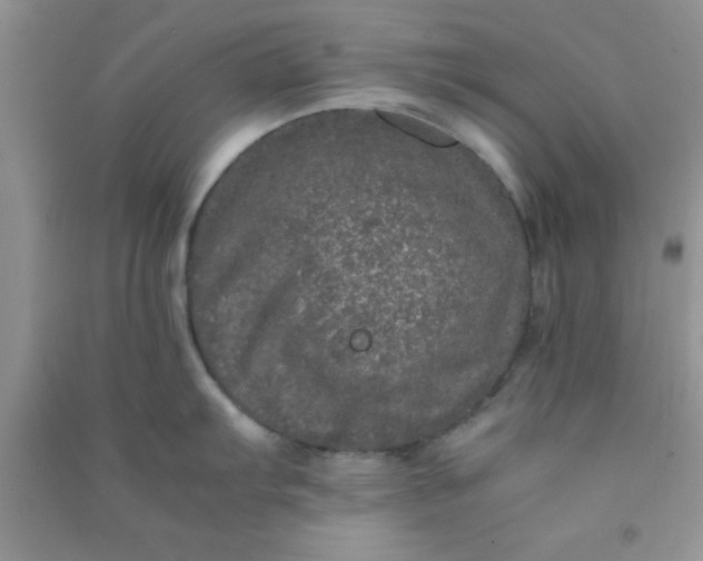 X0000090991103200708161911
