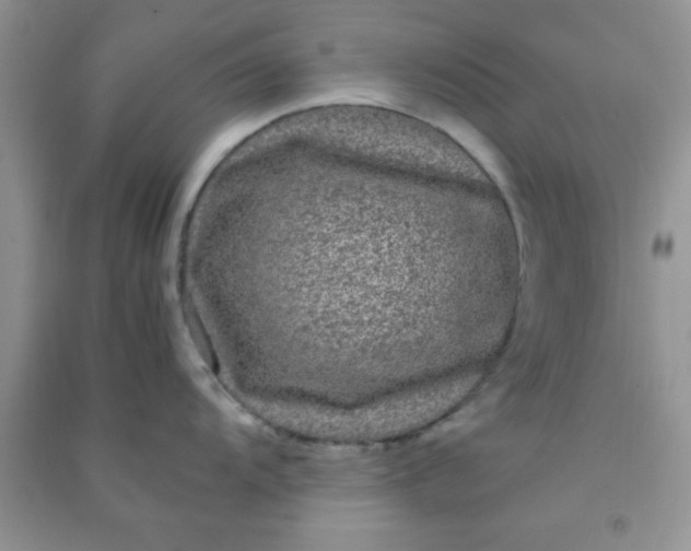 X0000090991104200708161911