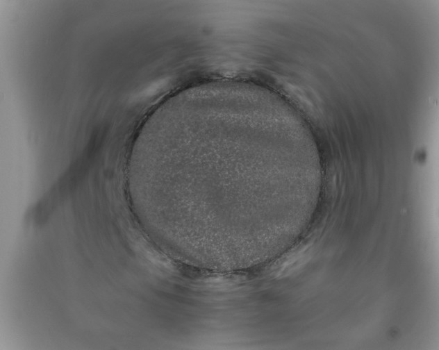 X0000090991105200708161911