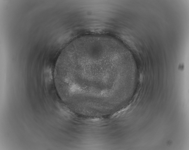 X0000090991106200708161911