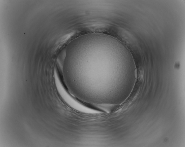 X0000090991108200708161911