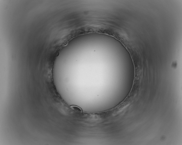 X0000090991109200708161911