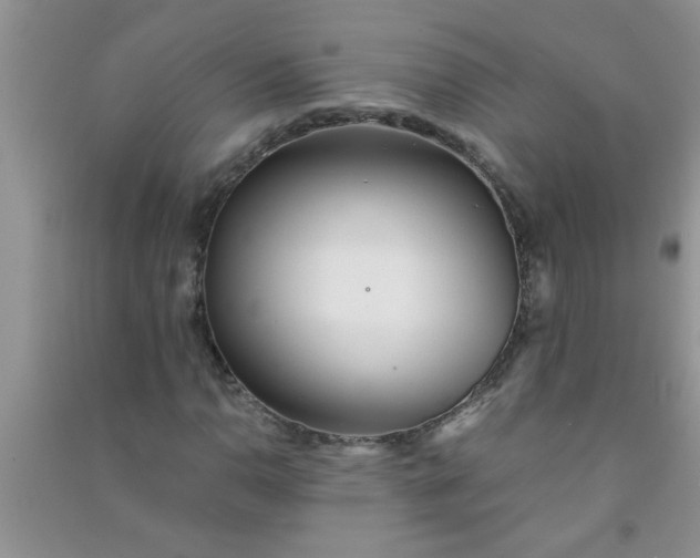 X0000090991110200708161911