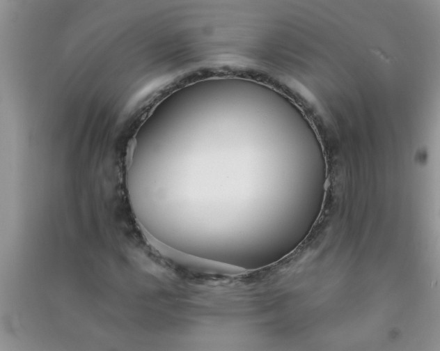 X0000090991112200708161911