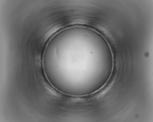 X0000090991113200708161911