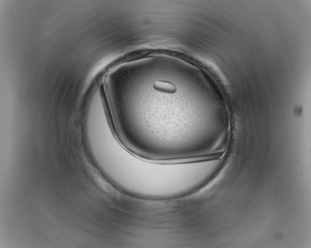 X0000090991114200708161911