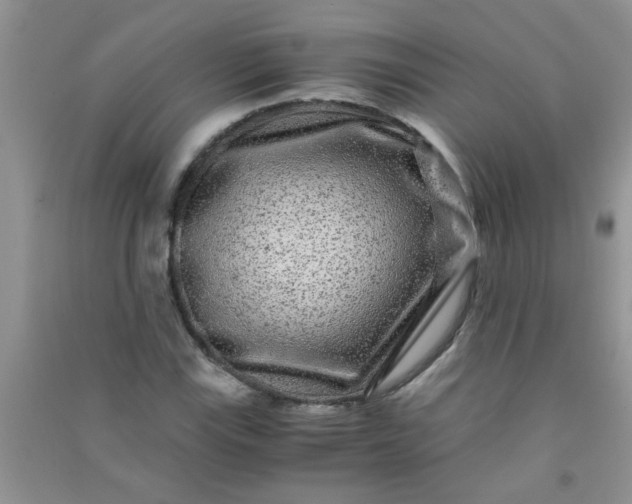 X0000090991115200708161911