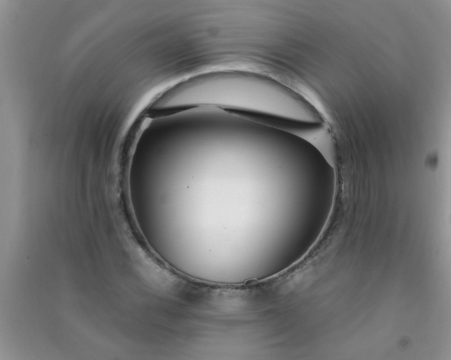 X0000090991116200708161911