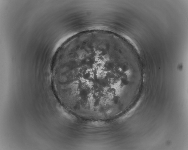 X0000090991117200708161911