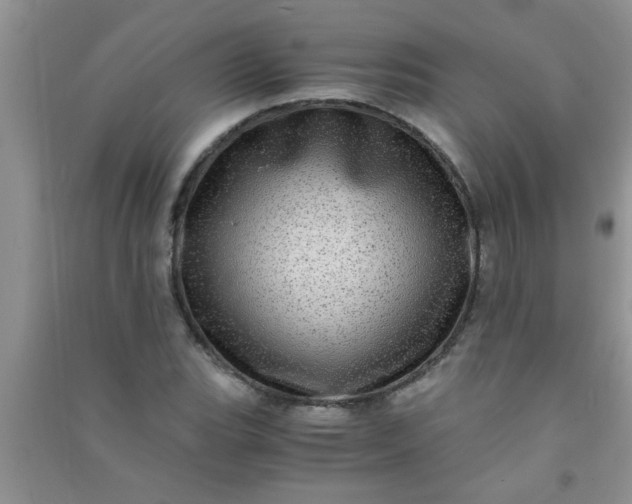 X0000090991119200708161911