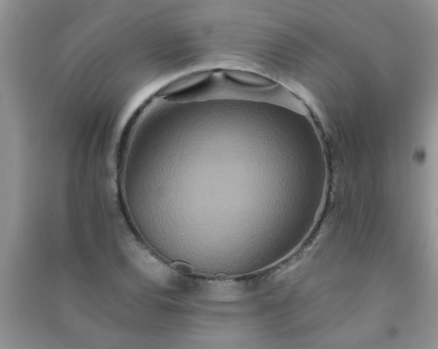 X0000090991120200708161911