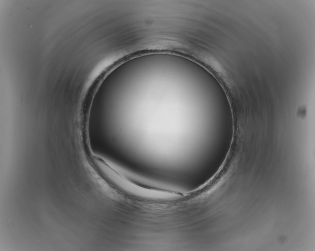 X0000090991122200708161911