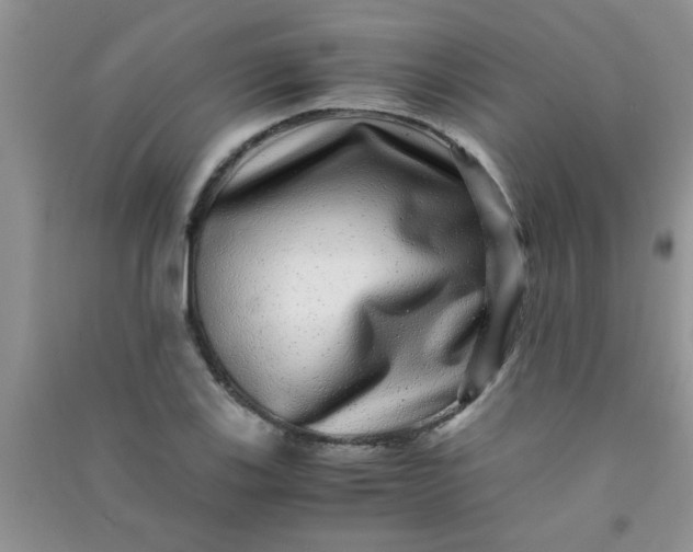 X0000090991123200708161911