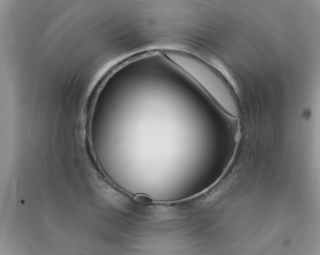 X0000090991124200708161911