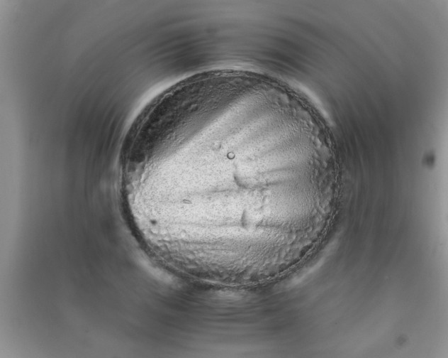 X0000090991125200708161911