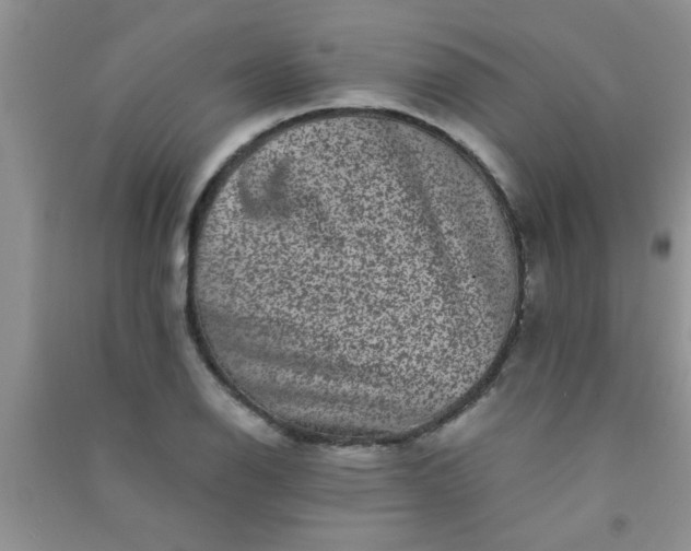 X0000090991126200708161911