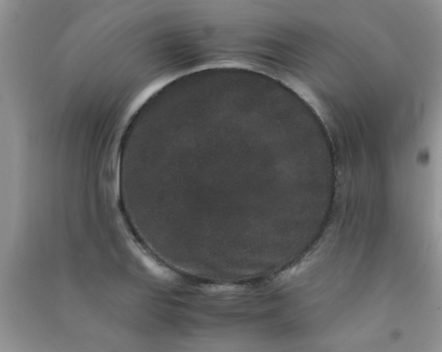 X0000090991127200708161911