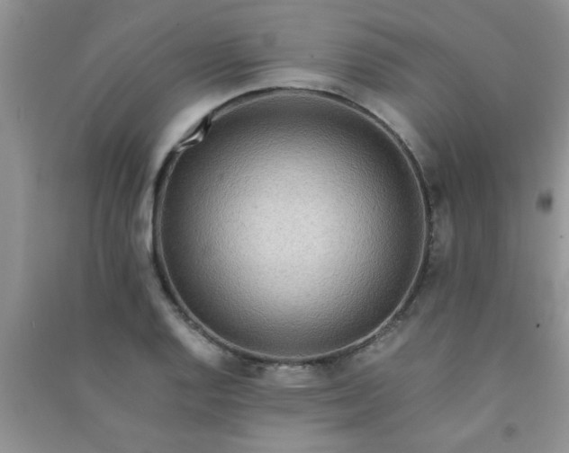 X0000090991128200708161911