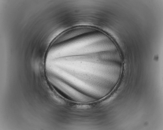 X0000090991129200708161911