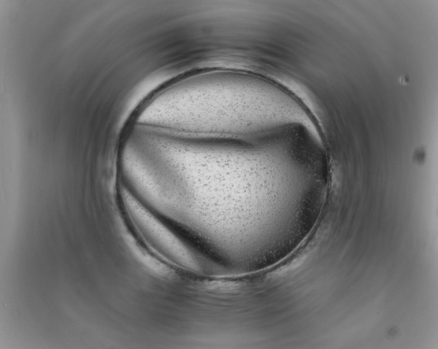 X0000090991131200708161911