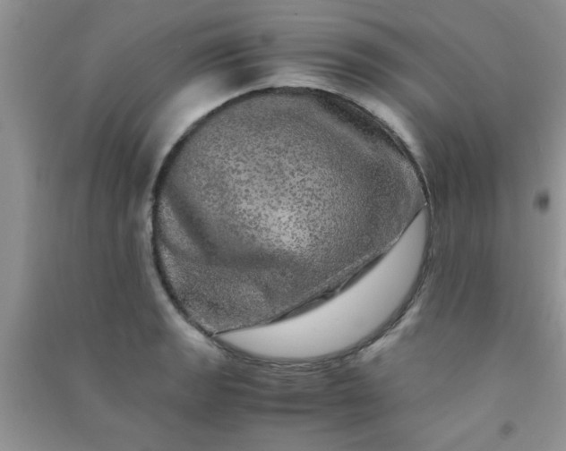 X0000090991133200708161911