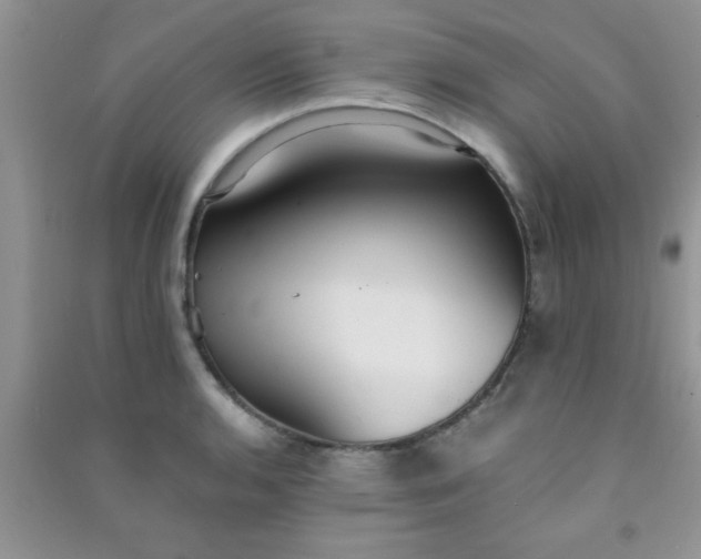 X0000090991136200708161911