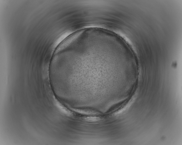 X0000090991137200708161911