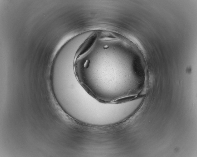 X0000090991138200708161911